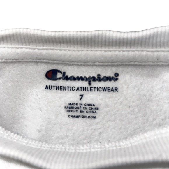 Champion sweatshirt - Picture 3 of 3